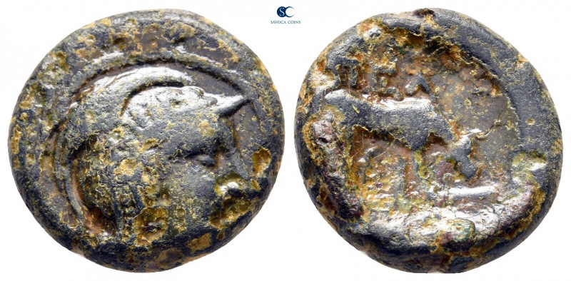 Macedon. Pella circa 250-200 BC. 
Bronze Æ

18 mm, 6,59 g



nearly very ...