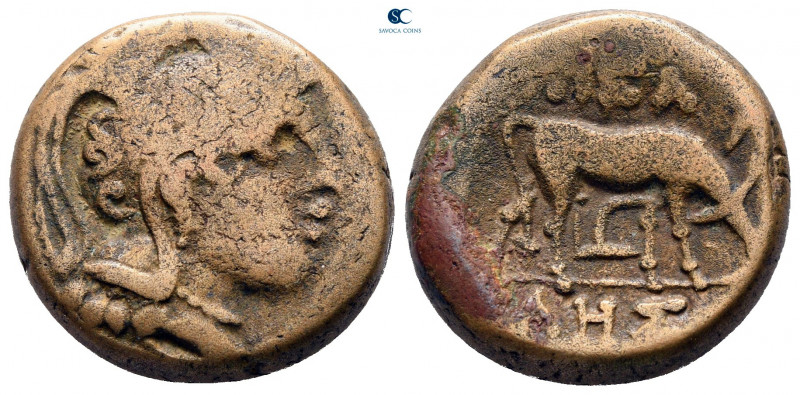 Macedon. Pella circa 187-31 BC. 
Bronze Æ

19 mm, 8,42 g



nearly very f...