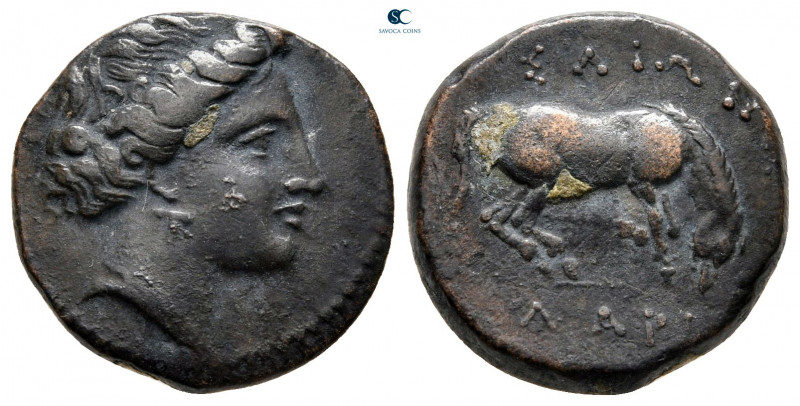Thessaly. Larissa circa 400-350 BC. 
Bronze Æ

17 mm, 4,57 g



very fine...