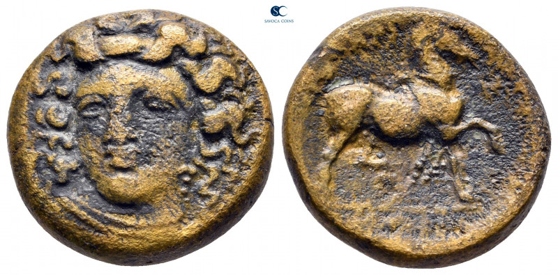 Thessaly. Larissa circa 400-344 BC. 
Tetrachalkon Æ

20 mm, 8,66 g



nea...