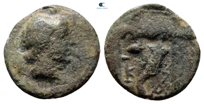 Caria. Kaunos circa 191-166 BC. 
Bronze Æ

12 mm, 1,18 g



nearly very f...