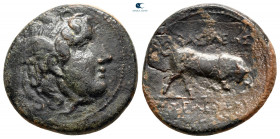Seleukid Kingdom. Sardeis. Seleukos I Nikator 312-281 BC. Bronze Æ