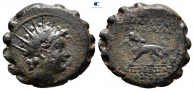 Seleukid Kingdom. Antioch on the Orontes. Antiochos VI Dionysos 144-142 BC. Serrate Æ