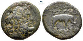 Seleucis and Pieria. Apameia circa 150-50 BC. Bronze Æ