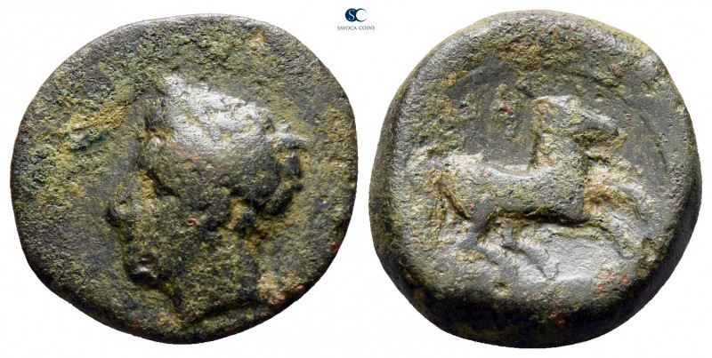Zeugitana. Carthage circa 250-200 BC. 
Bronze Æ

17 mm, 3,46 g



nearly ...