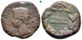 Hispania. Colonia Patricia (Corduba). Augustus 27 BC-AD 14. Bronze Æ