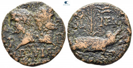 Gaul. Nemausus. Augustus with Agrippa 27 BC-AD 14. Dupondius Æ