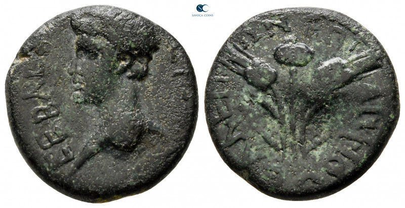 Aiolis. Elaia. Nero AD 54-68. 
Bronze Æ

18 mm, 4,07 g



nearly very fin...