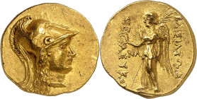 Royaume de Syrie, Seleucos II, 246-226. Statère d'or, Atelier indéterminé, probablement Commagène. Tête casquée d'Athéna à droite / BASILEWS / SELEUKO...