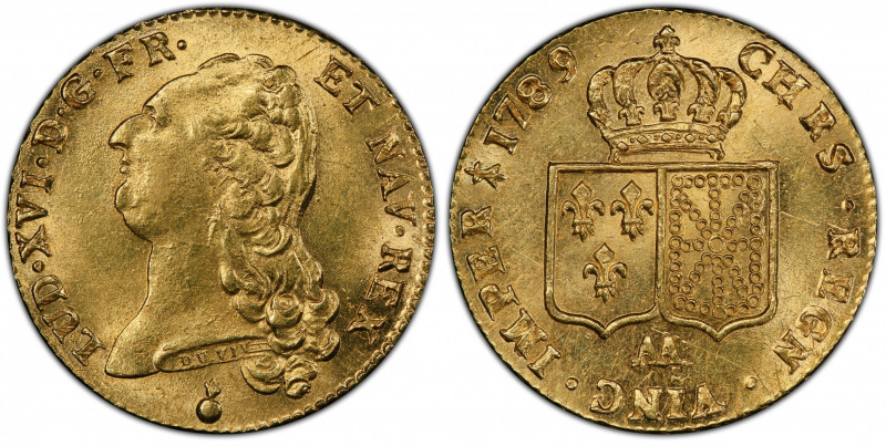 Louis XVI, 1774-1792. Double Louis d'or à la tête nue 1789 (premier semestre) AA...