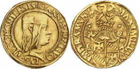 Antegnate. Giovanni II Bentivoglio, 1494-1508. Double Ducat non daté. Buste coiffé d'un béret à droite / Ecu surmonté d'un heaume couronné. Au-dessus,...