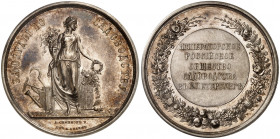 Alexandre II, 1855-1881. Médaille de récompense en argent de la société russe d'horticulture de Saint-Pétersbourg, par A. Semenov et P. Kubli. Personn...