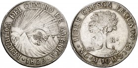 Isabel II. Resello YII bajo corona sobre 8 reales de la República del Centro de América, Guatemala M de 1829. (Kr. 106.1). 26,69 g. Ex Áureo 30/06/199...
