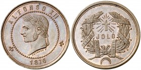 1876. Alfonso XII. Medalla de distinción Campaña de Joló. (V. 846) (Pérez Guerra 758). 20,78 g. Bronce. 31 mm. Grabador: Estruch. Bella. Rara así. EBC...