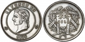 1876. Alfonso XII. Medalla de distinción Campaña de Joló. (V. 846 var. por metal) (Pérez Guerra 758 var). 20,17 g. Bronce plateado. 31 mm. Grabador: E...