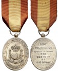 1897. Alfonso XIII. Distinción a los Voluntarios Filipinos. (Pérez Guerra 774). 20,52 g. Bronce. Ovalada, 38x30 mm. Con anilla y cinta original. Muy r...
