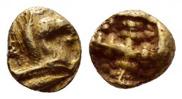 IONIA.Uncertain.(Circa 650-550 BC).EL 1/24 Stater.

Obv : Figural-on-striated type. Crude chimaira(?) right on striated background .

Rev : Incuse squ...