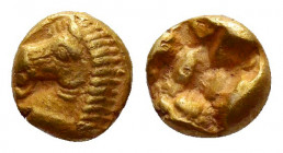 IONIA.Uncertain.(Circa 600-550 BC).EL 1/24 Stater.

Obv : Bridled head of Pegasos left.

Rev : Rough incuse square punch.
Weidauer 145; Rosen 287-288;...