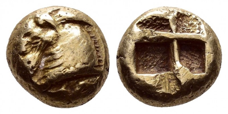 IONIA.Phocaea.(Circa 530-450 BC).EL Hecte.

Obv : Head of goat left, the trunc...