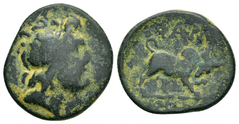 PONTOS.Pharnakeia.(2nd Century BC). Ae.

Obv : Laureate head of Zeus to right.

...
