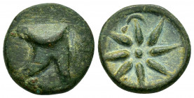 PONTOS.Uncertain.Time of Mithradates VI.(Circa 130-100 BC). Ae.

Obv : Bashlyk left.

Rev : Star.
SNG BM Black Sea 980.

Condition : Nice green patina...