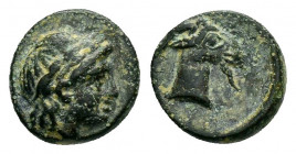 AEOLIS.Aigai.(4th-3rd Centuries BC).Ae.

Obv : Laureate head of Apollo to right.

Rev : AIΓΑΙ.
Head of goat right.
SNG Aulock 1593; SNG Copenhagen 1.
...