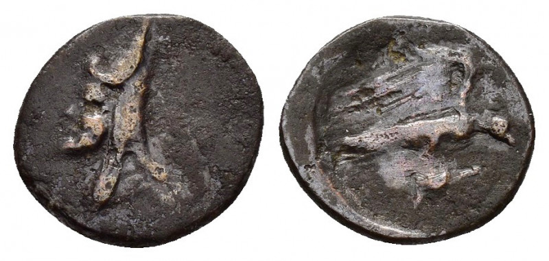 KINGS of ARMENIA MINOR. Mithradates.(180-170 BC).Ae.

Obv : Draped bust of Mithr...