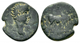 MACEDON.Philippi.Augustus.(27 BC -14).Ae.

Obv : AVG.
Bare head of Augustus to right. 

Rev : Two priests ploughing, right.
RPC I online 1656.

Condit...