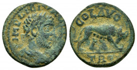 TROAS.Alexandria.Gallienus.(253-268).Ae.

Obv : IMP LICIN GALLIENV.
Laureate, draped and cuirassed bust right.

Rev : CO AVG TRO.
Horse grazing right....