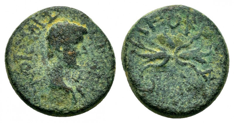 LYDIA.Philadelphia.Tiberius.(Caesar, 35-37). Ae.

Obv : ΤΙΒΕΡΙΟΝ ϹƐΒΑϹΤΟΝ.
Ba...