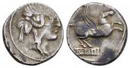 Q. TITIUS.(90 BC). Rome.Denarius.

Obv : Head of Liber right, wearing ivy-wreath. Line border.

Rev : Q·TITI.Pegasus right; below, in linear frame...
