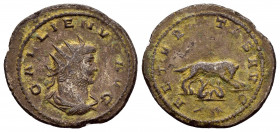GALLIENUS.(253-268).Antioch.Antoninianus.

Obv : GALLIENVS AVG.
Bust of Gallienus, radiate, cuirassed, right.

Rev : AETERNITAS AVG.
She-wolf suckling...