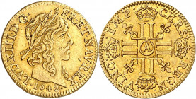 LOUIS XIII (1610-1643).
Demi Louis d’or 3,32 g. 1642 A=Paris
A/ LVD XIII D G FR ET NAV REX. Tête laurée du Roi à droite, au-dessous (date).
R/ CHRS...