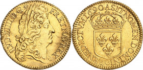 LOUIS XIV (1643-1715).
Double Louis d’or à l’écu 13,46 g. 1690 A=Paris
A/ LVD XIIII D G (différent) FR ET NAV REX. Tête laurée du Roi à droite, avec...