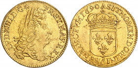 LOUIS XIV (1643-1715).
Louis d’or à l’écu 6,74 g. 1690 A=Paris A/ LVD XIIII D G (différent) FR ET NAV REX. Tête laurée du Roi à droite, avec une perr...