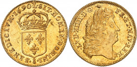 LOUIS XIV (1643-1715).
Louis d’or à l’écu 6,73 g. 1690 L couronné=Lille
A/ LVD XIIII D G (différent) FR ET NAV REX Sa tête laurée, âgée à droite ave...