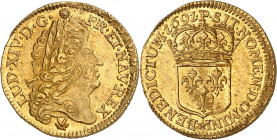 LOUIS XIV (1643-1715). Louis d’or à l’écu 6,71 g. 1691 P=Dijon
A/ LUD XIIII D G (différent) FR ET NAV REX Sa tête laurée, âgée à droite avec une perr...