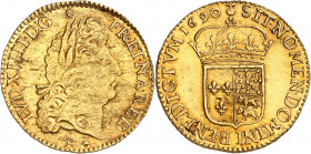LOUIS XIV (1643-1715).
Louis d’or de Béarn à l’écu 6,69 g. 1690 Pau
A/ LVD XIIII D G (différent) FR ET NA RE BD. Tête âgée et laurée du roi à droite...