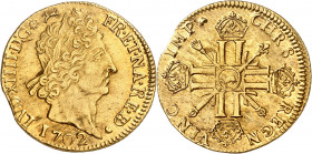 LOUIS XIV (1643-1715).
Double Louis d’or aux huit L et aux insignes 13,43 g. 1702 Vaquette=Pau
A/ LVD XIIII D G(différent) FR ET NA RE BD. Tête laur...