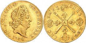LOUIS XIV (1643-1715).
Demi louis aux Insignes, 3,31g 1704 A=Paris
A/ LVD XIIII DG FR. ET NAV REX. Tête laurée du roi à droite avec les cheveux cour...