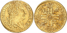 LOUIS XIV (1643-1715).
Louis d’or au soleil 8,11 g. 1710 Vaquette=Pau
A/ LVD XIIII D G FR ET NA RE BD. Tête du Roi à droite, avec une grande perruqu...