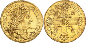 LOUIS XIV (1643-1715).
Louis d’or au soleil, 8,05 g. 1711 A= Paris
A/ LVD XIIII D G FR ET NAV REX. Tête du Roi à droite, avec une grande perruque la...