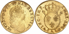 LOUIS XV (1715-1774).
Double Louis d’or aux insignes 1716 L=Bayonne 16,25 g.
A/ (Différent) LVD XV FR ET NAV REX. Buste nu à droite du Roi enfant. M...