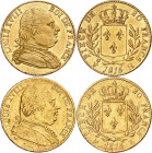 LOUIS XVIII Première Restauration (1814-1815). 
20 Francs « Buste habillé » 1815 K=Bordeaux et 1815 R=Londres
Gad.1027 (34 508 ex.) et 1815 R (871 5...