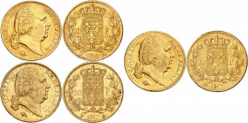 LOUIS XVIII Second gouvernement royal (1815-1824). 
20 Francs 1816 A=Paris 
20 Francs 1817 A=Paris 
20 Francs 1817 L=Bayonne 
Gad.1028. (Lot de 3 ...