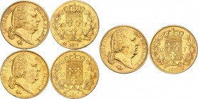 LOUIS XVIII Second gouvernement royal (1815-1824). 
20 Francs 1817 L=Bayonne. 
20 Francs 1817 Q=Perpignan. 
20 Francs 1817 W=Lille. 
Gad.1028. (Lo...