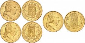 LOUIS XVIII Second gouvernement royal (1815-1824). 
20 Francs 1820 A= Paris. 
20 Francs 1820 Q=Perpignan. 
20 Francs 1824 W=Lille. 
Gad.1028. (Lot...