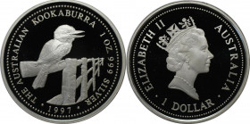 Weltmünzen und Medaillen, Australien / Australia. Australischer Kookaburra. 1 Dollar 1997. 31,10 g. 0.999 Silber. 1 OZ. KM 362. Polierte Platte