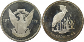 Weltmünzen und Medaillen, Sudan. Schuhschnabel Vogel. 2-1/2 Pounds 1976. 28,28 g. 0.925 Silber. 0.84 OZ. KM 70. Polierte Platte