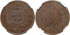 Weltmünzen und Medaillen, Südafrika / South Africa. Oranje-Freistaat. Penny 1888 V. Bronze. NGC MS-63 BN